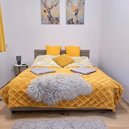 Apartman Belvárosi Lux Vásárosnamény