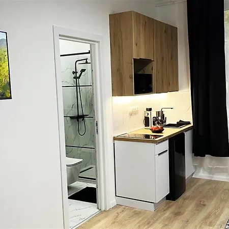Apartment Belvarosi Lux *